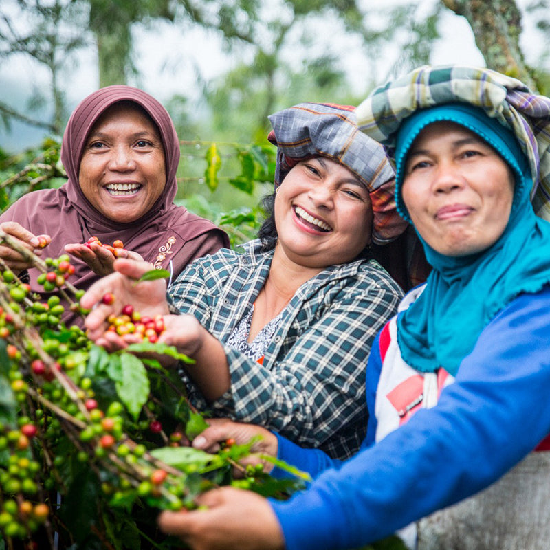 Women of the Ketiara Co-op in Indonesia